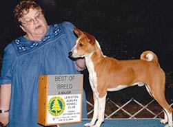 Mata Hauri Basenjis' Panda For Sale